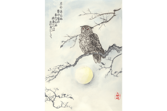 Download Oriental Watercolor Zen Art, Owl Image - Color Collection