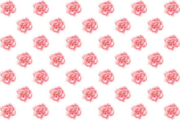Download Flower Water Color Pattern - Color Collection
